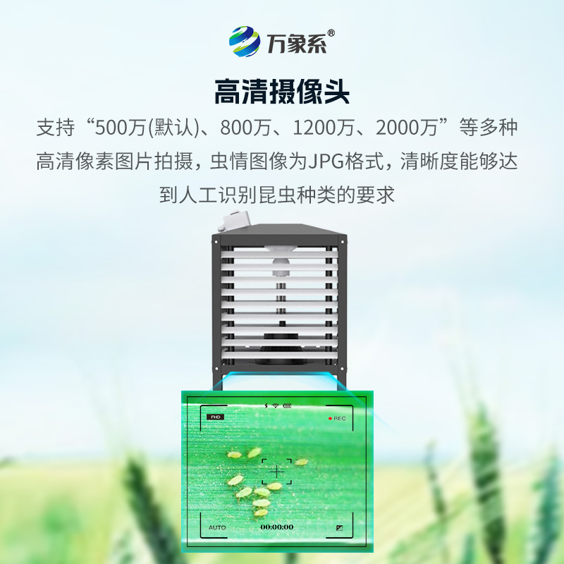 小蟲體自動測報系統——毫米級小蟲體測報