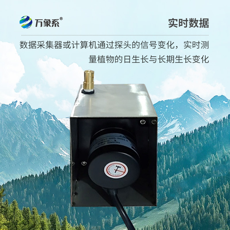 植物生長傳感器，監(jiān)測環(huán)境因子對樹干生長變化的影響